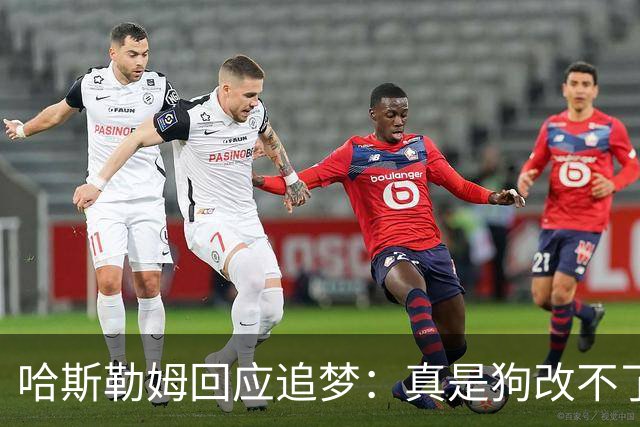 哈斯勒姆回应追梦：真是狗改不了吃屎 你打普尔和这事能一样吗？