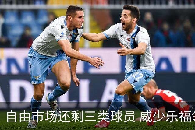 自由市场还剩三类球员 威少乐福领衔失业大军？
